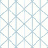 BOX KITE T10133